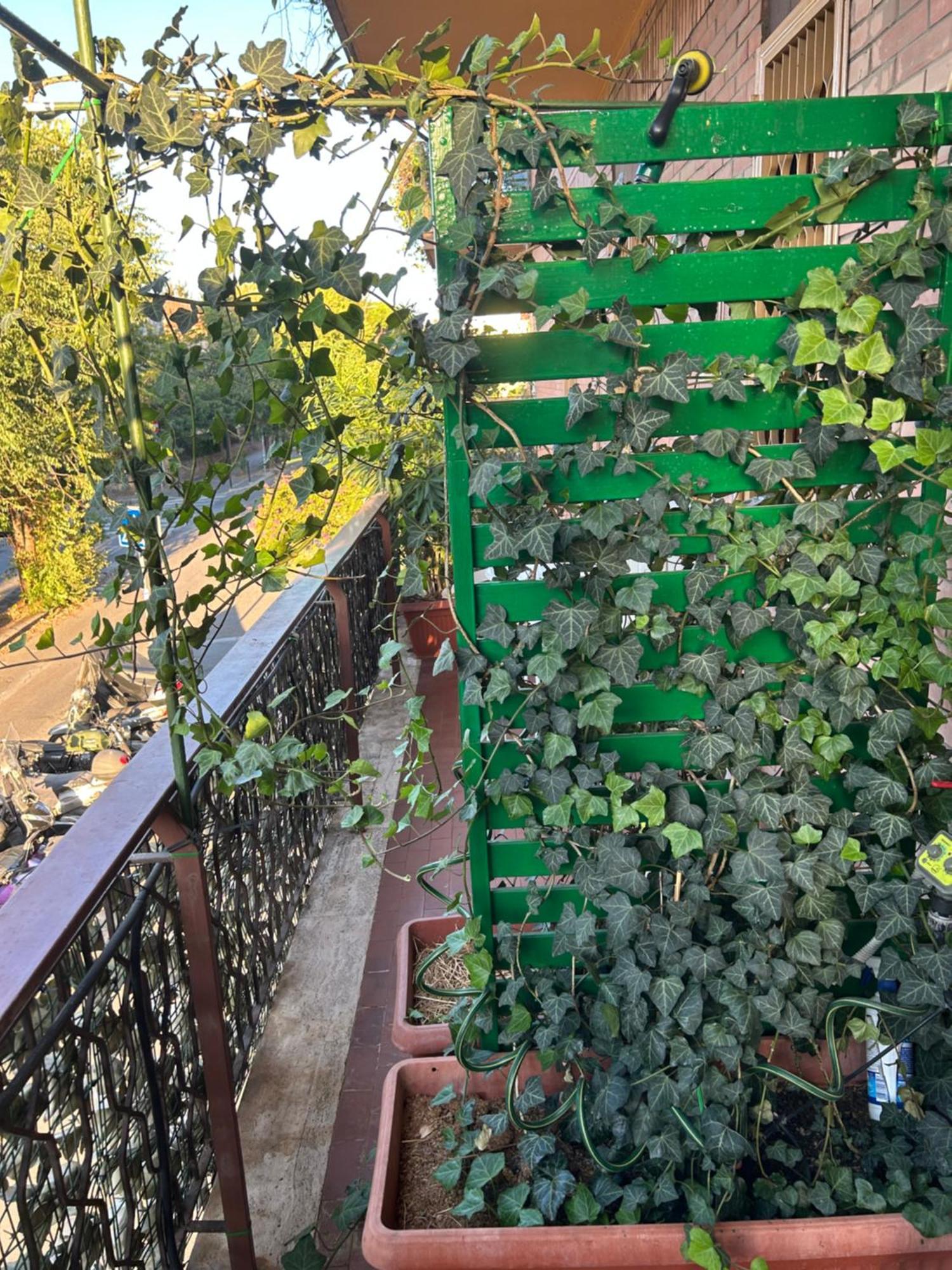 La Fontana Di Carlotta Bed & Breakfast - Rome — Photos 1